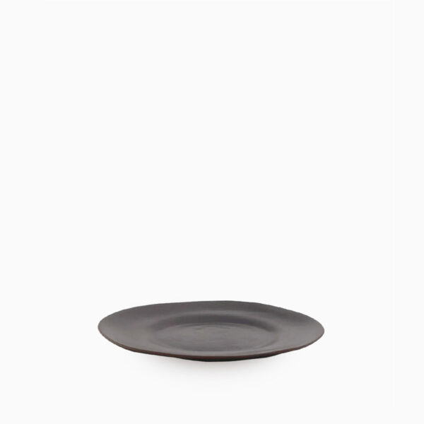 022721422E saucer BC short black shady