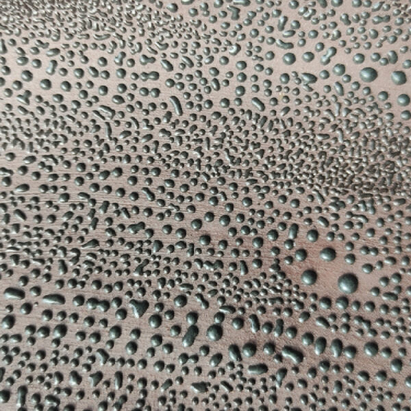 Shagreen close_up